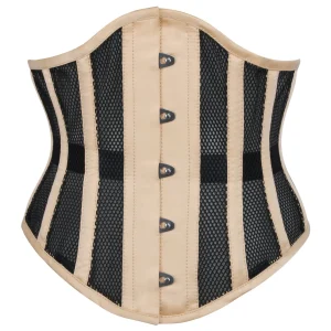 Beige Mesh Waspie Underbust