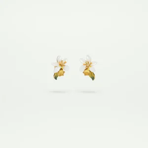 Boucles d'oreilles fleur d'oranger