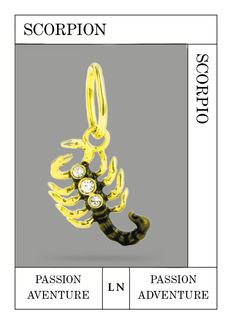 Pendentif Scorpion, Passion et Aventure – Image 2