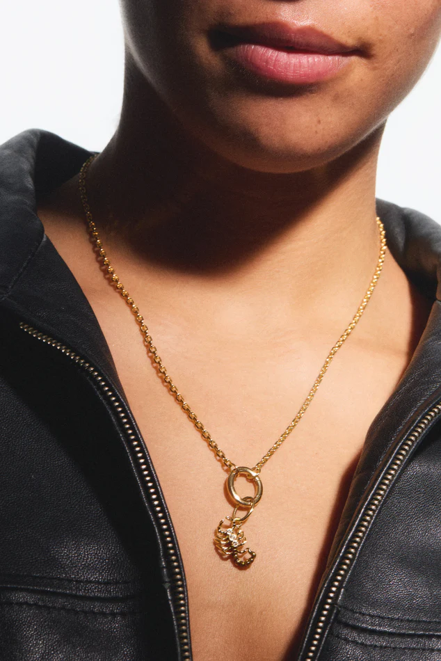 Pendentif Scorpion, Passion et Aventure – Image 4